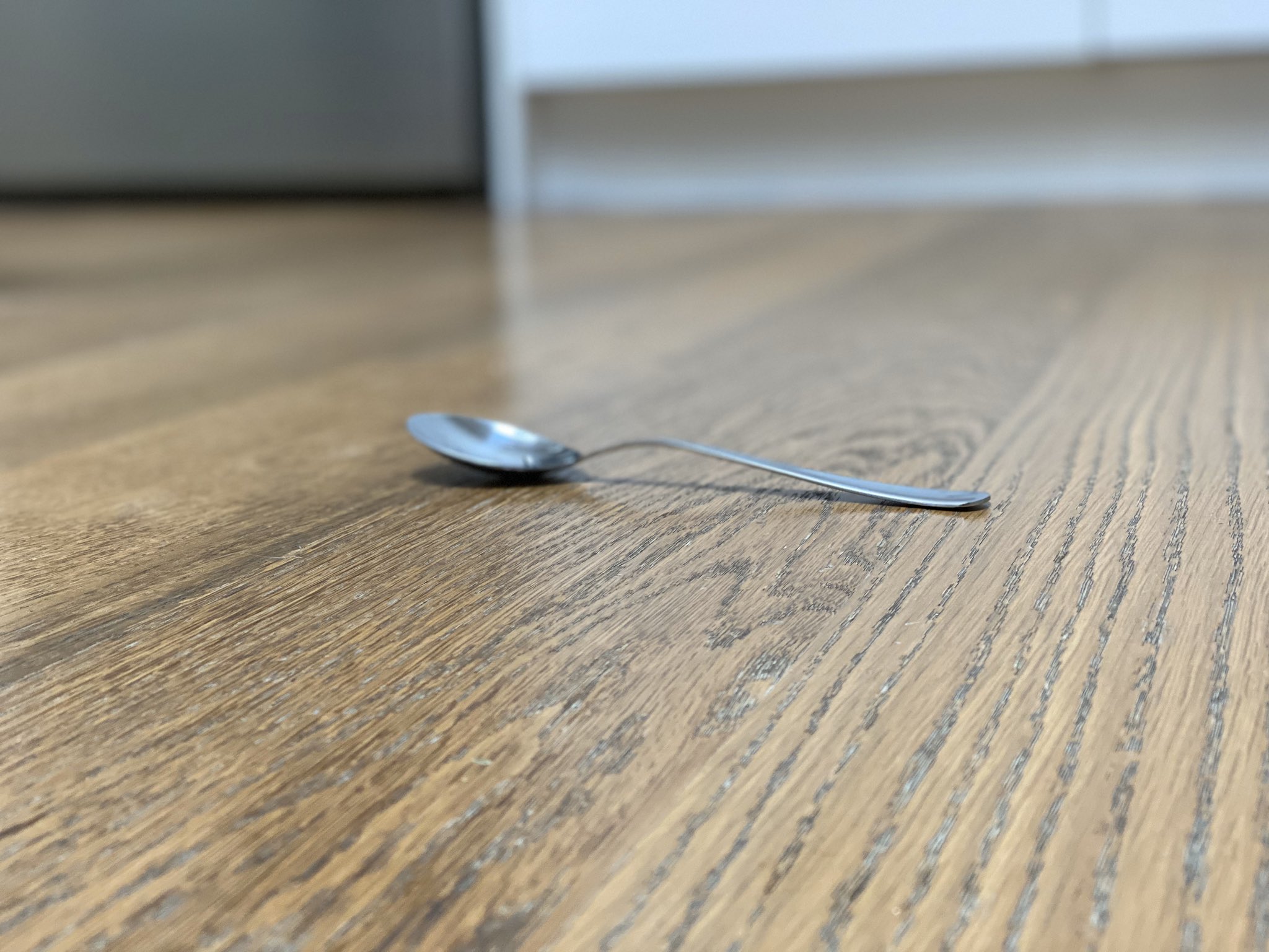 Nigel Latta on Twitter: "Saw this is the middle of our kitchen floor. Thought it was an actual #coronavirus. Panicked. Ran screaming from house. Did some panic buying of socks. Ran back