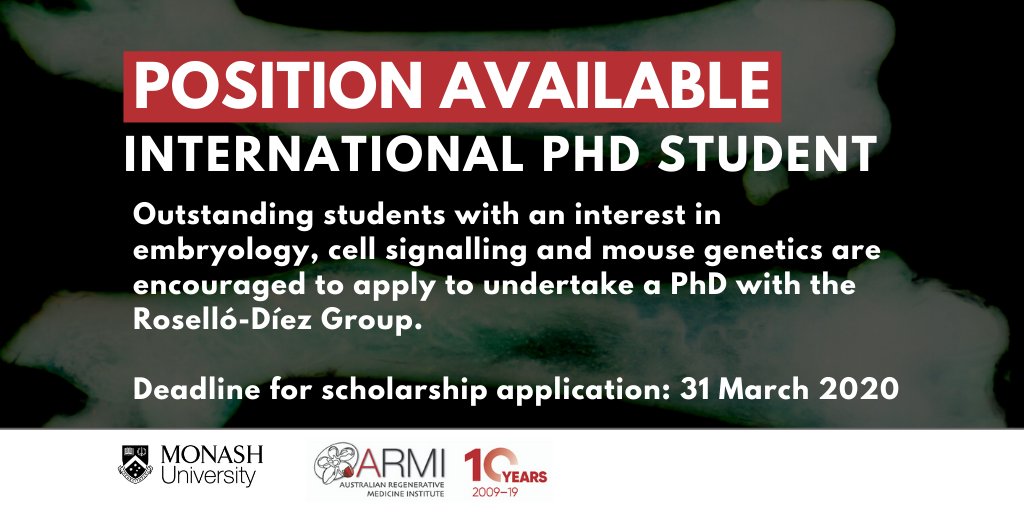 ARMI_Labs's tweet photo. Interested in embryology, cell signalling & mouse genetics? You could join the @RoselloDiez Group as an international PhD student! For more info & to apply, visit https://t.co/y1FghjT4ZE #regenmed #nextgenregen #phdlife #phdchat https://t.co/xLHrngpUOr