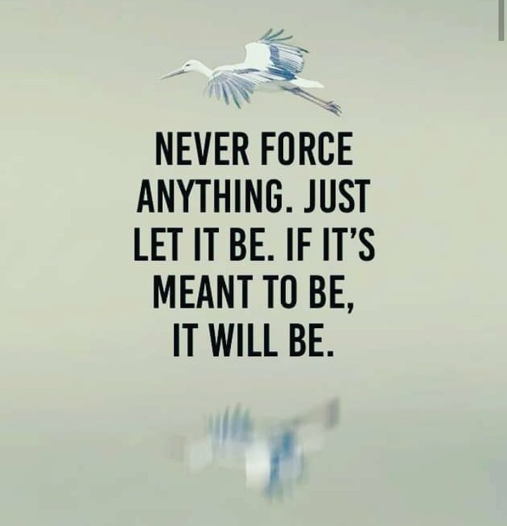 ddivya2013's tweet photo. https://t.co/VByuAjK581