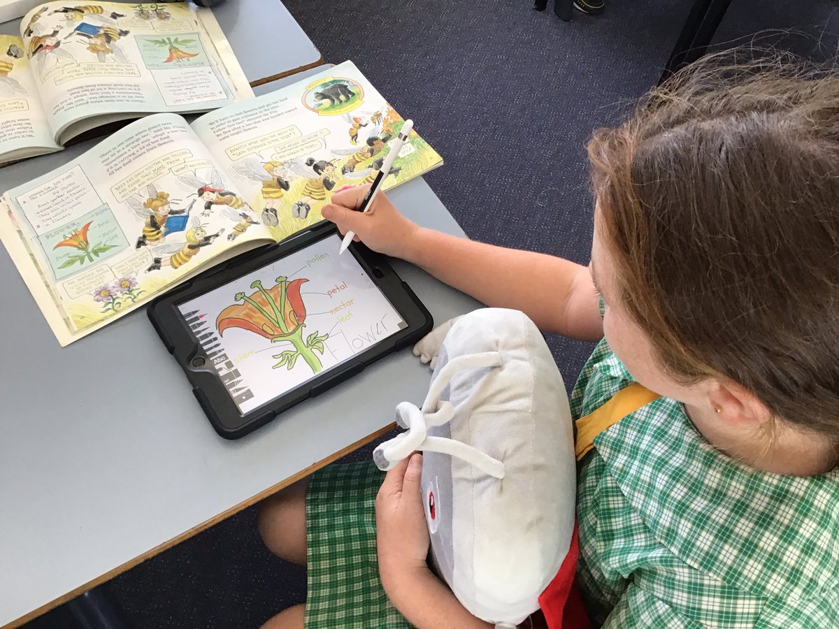 Kelly Howick tweet media