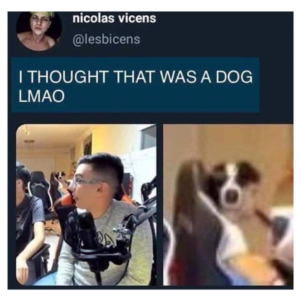 Brad_Kul's tweet photo. Do you see a dog, or a kid wearing headphones? https://t.co/R4t8pxTTMu