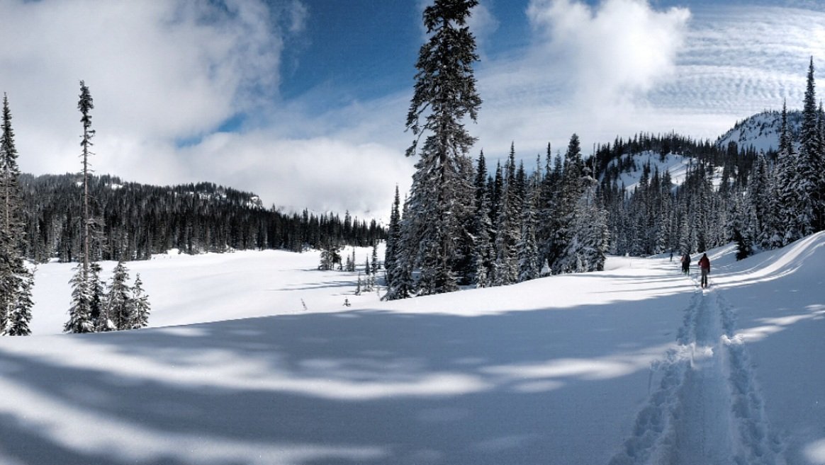 TKoutside's tweet photo. #MountRainierNationalPark
#TatooshRange #skitouring https://t.co/T1o8ku7EUZ
