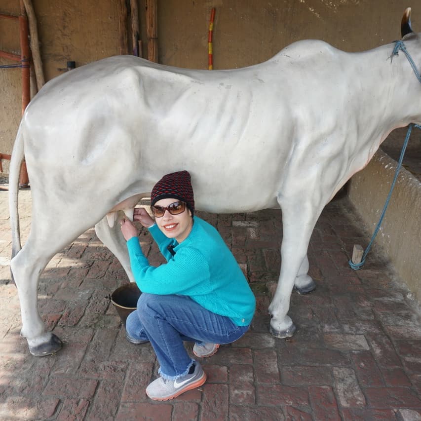 open2explore's tweet image. 