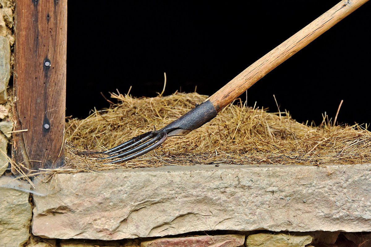 AYUNTAMIENTO DE CASO. PARQUE NATURAL DE REDES tweet media