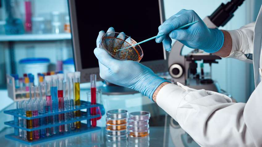 evans_riya's tweet photo. Interesting innovations on Biotechnology
Join as featured speaker at World Biotechnology 2020 #London #UK
Hurry up! to book your slots in advance
@BBSRC @DBTIndia @BuysKimberly
#biotechnology #genetics #molecularbiology #cellbiology #immunology https://t.co/hnlfnMww4E