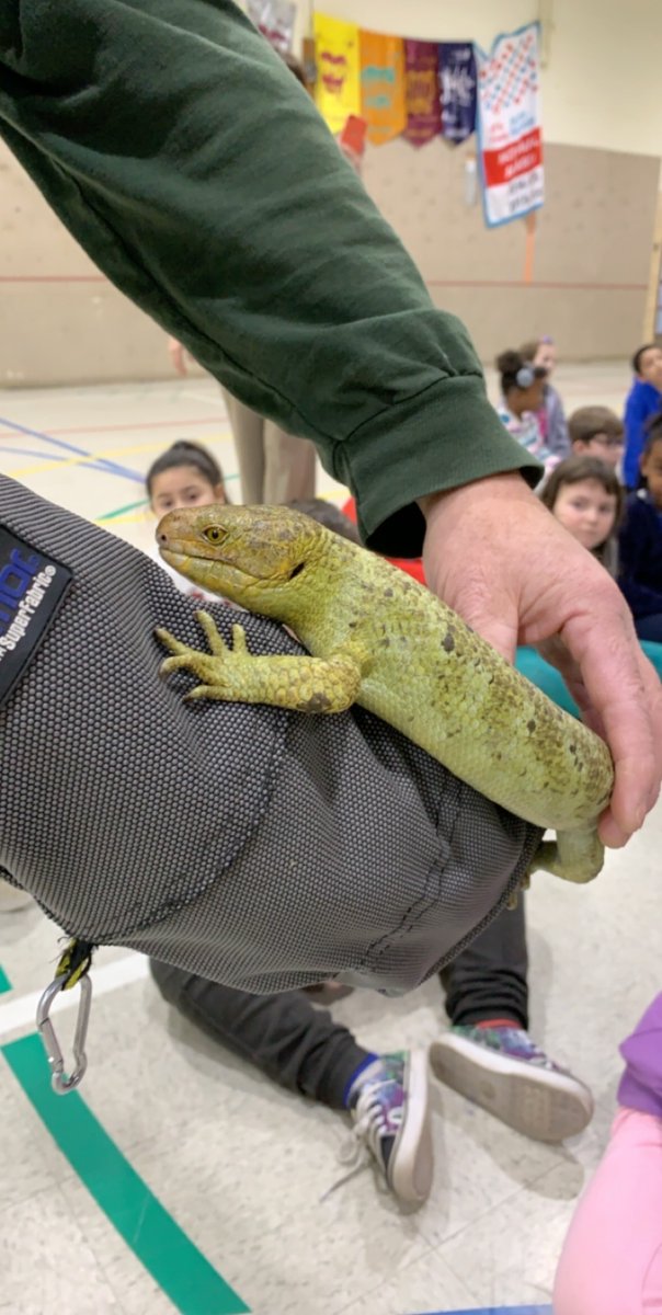Charlesmont Elementary (@charlesmontbcps) on Twitter photo Second graders at Charlesmont Elementary enjoyed a visit from the Maryland Zoomobile! @DHoffmaster1 @grobertsbcps <a href="/jmullenax/">Jennifer Mullenax</a> Second graders at Charlesmont Elementary enjoyed a visit from the Maryland Zoomobile! @DHoffmaster1 @grobertsbcps <a href="/jmullenax/">Jennifer Mullenax</a>