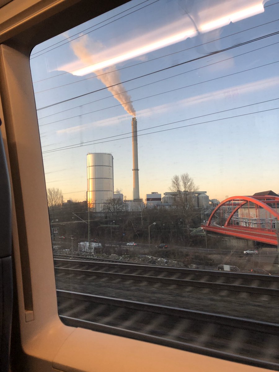 Daniella Domokos tweet media