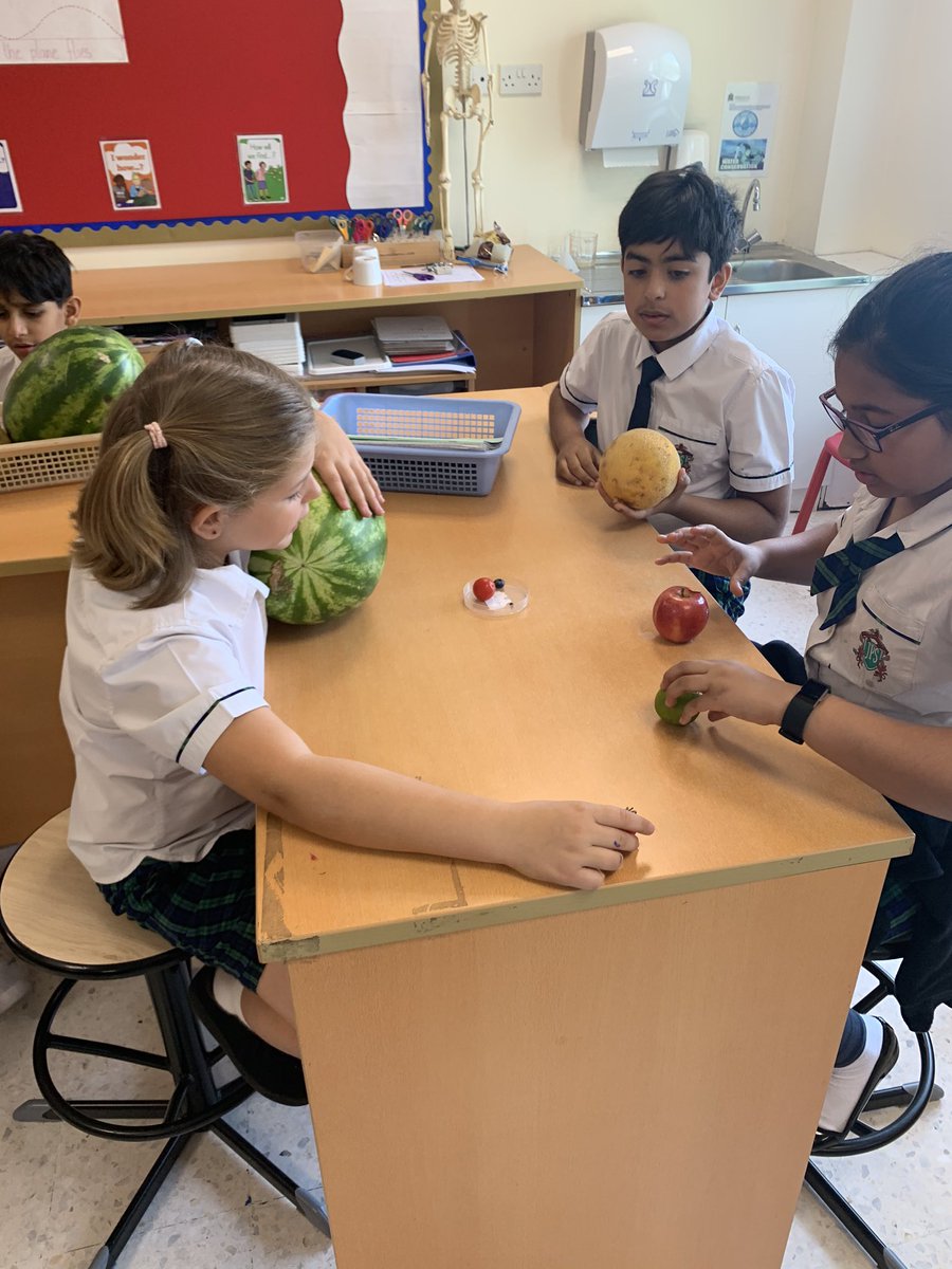 JPS_Year5's tweet photo. In #JPSscience today we were investigating the size and order of the planets relative to the Sun. We enjoyed using fruit to represent the planets! π#JPS5C https://t.co/Efj2MZ5vF3