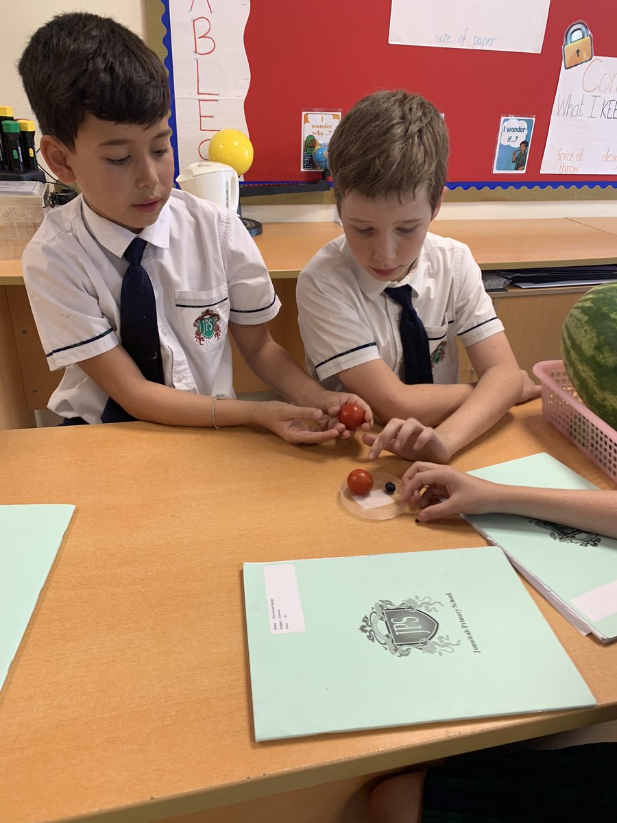 JPS_Year5's tweet photo. In #JPSscience today we were investigating the size and order of the planets relative to the Sun. We enjoyed using fruit to represent the planets! π#JPS5C https://t.co/Efj2MZ5vF3