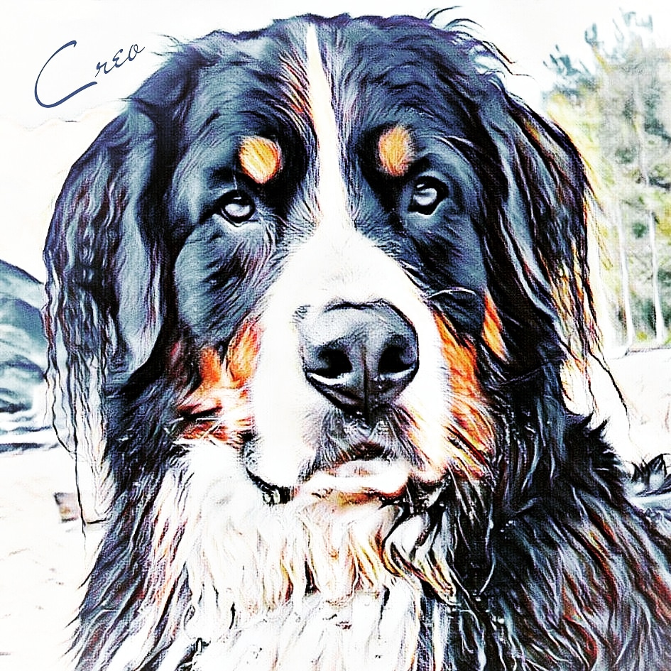 Bernese_Chloe's tweet image. In a world where you can be anything, be kind ♡ 
Hope you all have a great week! 
#BeKind