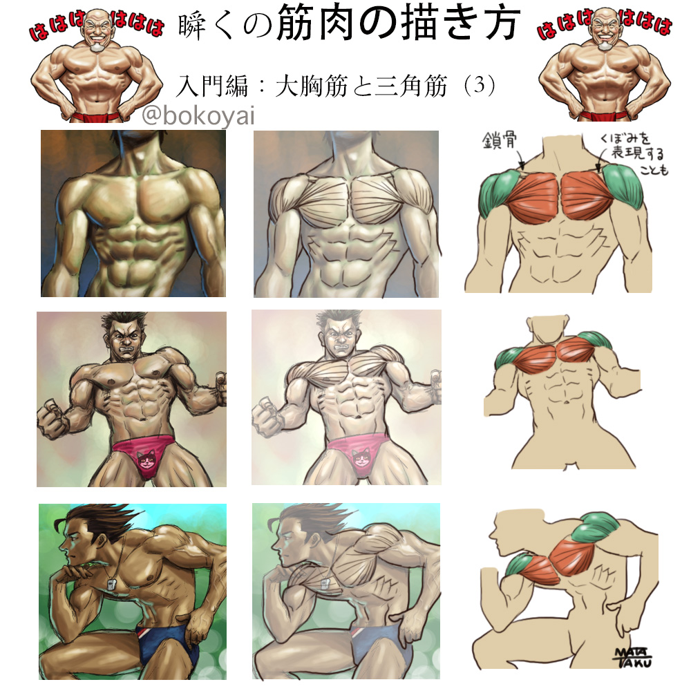 #イラストレーターにできること

筋肉の知識をイラスト付きでわかりやすく伝えること 