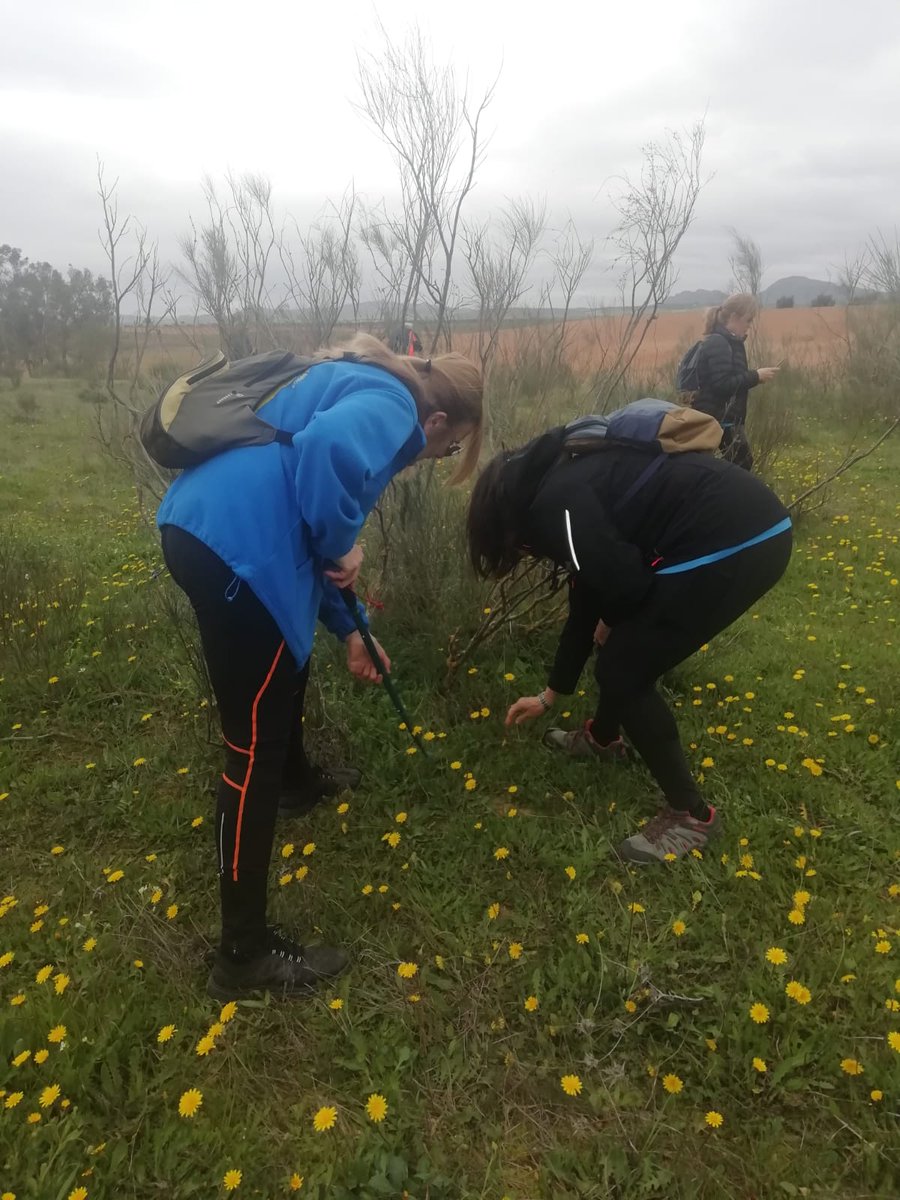 Con siembra de bellotas incluida, ayudando a repoblar nuestros campos.