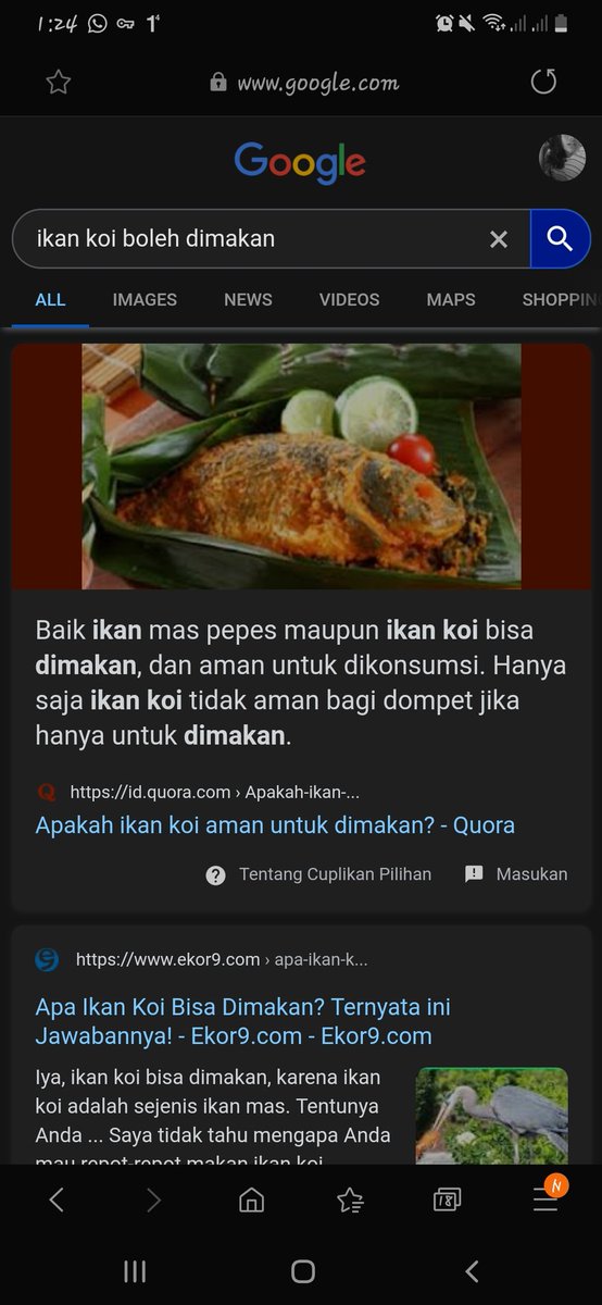 quarterlyf's tweet photo. @bahasrl https://t.co/lN7ApRIjJU
