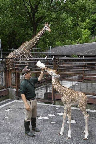 @girlmeetsNG 写真がありました
