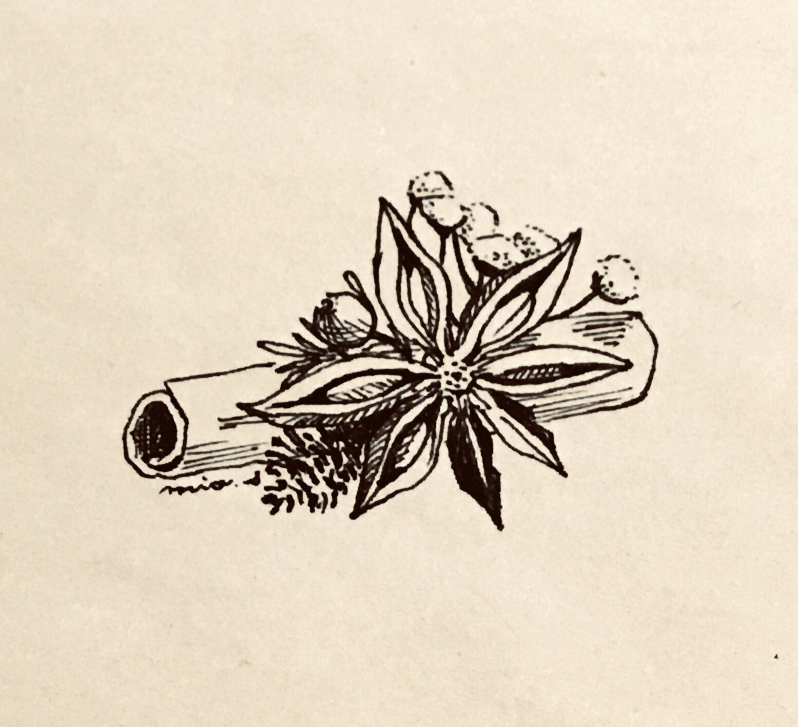 تويتر 佐俣水緒 さまたみお على تويتر 木の実とシナモン イラスト モノクロ Superプチ細 T Co Ncwinw51ig