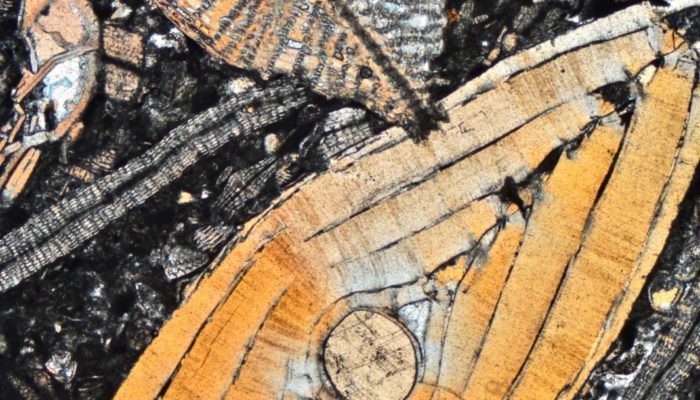 EuroGeosciences's tweet photo. Today'#imaggeoOnMondays is a #thinsection photograph of small #fossils called #foramnifera, titled Tertiary Flying Saucers and you can see why!
Read more ๐ https://t.co/2sM53pFyGl
๐ธ by @micROCKScopica https://t.co/SPP3MnJ9dK