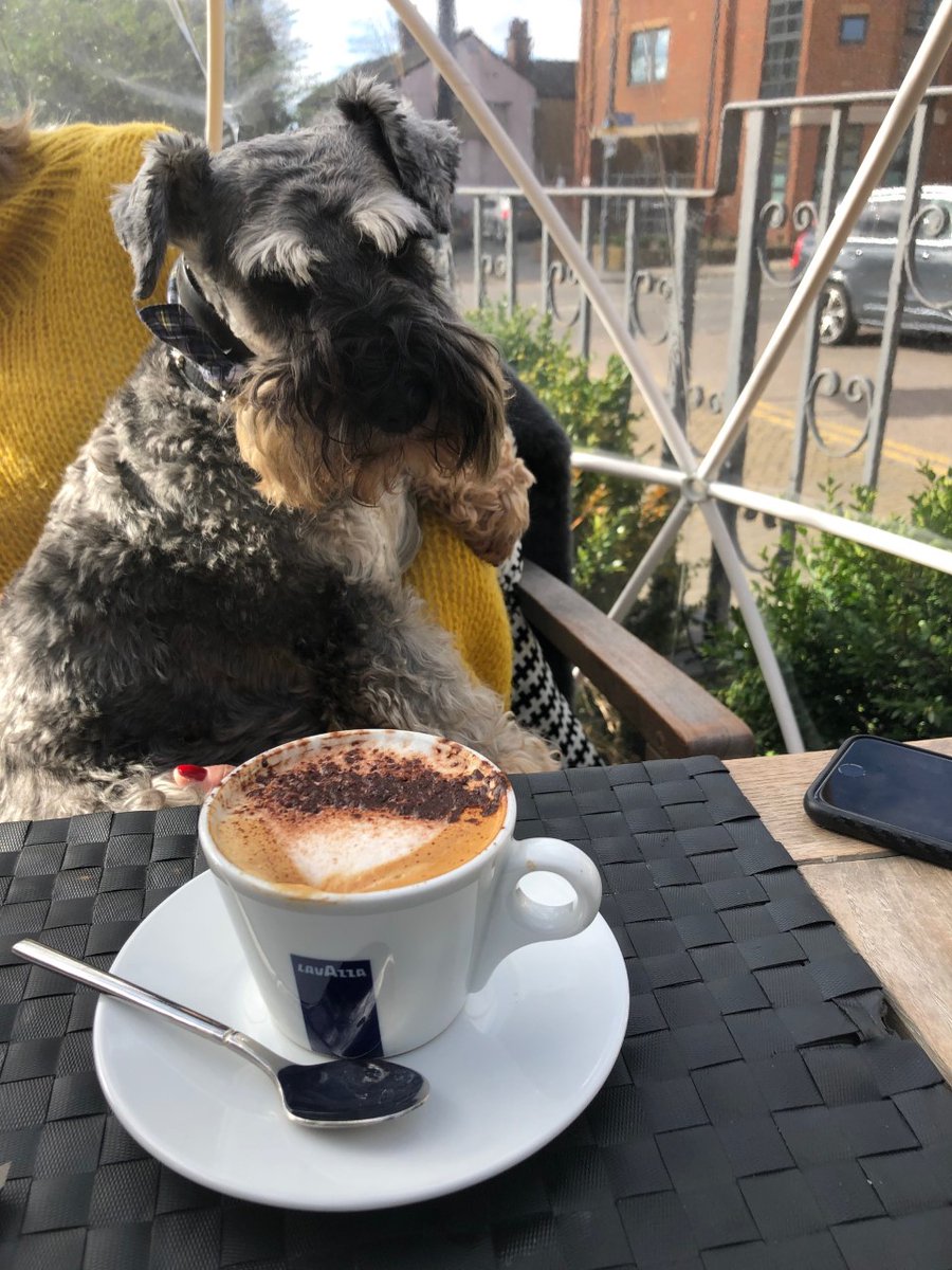 Change Beverages 🧙‍♂️☕️ tweet media