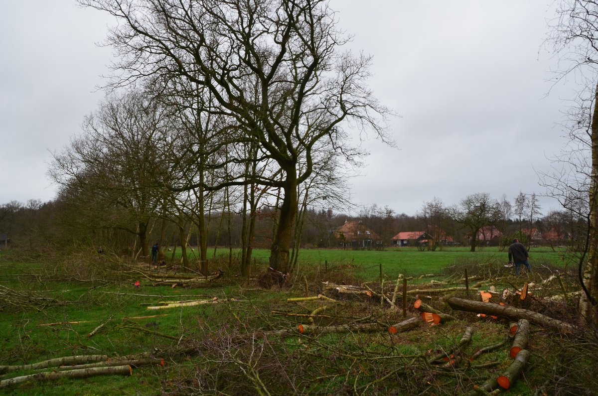 Het is tijd voor onderhoud van wallen en singels. Beheerders zijn druk met bijv. zagen van bomen in het gebied van Landschapsfonds Oranjewoud-Katlijk. Dit onderhoud is belangrijk voor biodiversiteit. Er is ruimte voor nieuwe beheerovereenkomsten. Info: landschapsfonds-oranjewoudkatlijk.nl.