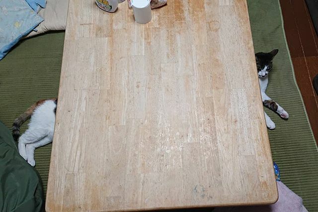 Mibu67777's tweet photo. いつもよりお腹を長くして
過ごしております(笑)
#トリック#トリックアート 
#猫#ねこ#ネコ#neko#cat#キジトラ
#三毛猫#猫バカ#にゃんこ#ねこ部#保護猫
#サビ猫#サビ#ぬこ#みんねこ#ハチワレ部
#ふわもこ部#三毛猫部#pet#mofmof#petsofinistagram
#we_love_cat#catstagra https://t.co/bA1SxE0jJ5