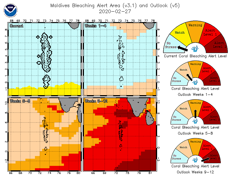 MMRI_Maldives's tweet photo. As predicted by NOAA sea surface temperatures are rising above the mean towards a possible mass bleaching event. We advise refraining from activities causing additional stress to our reefs. Please keep an eye out for signs of bleaching and let us know via https://t.co/Ca4oL72rnA https://t.co/gnGbuPuEgX