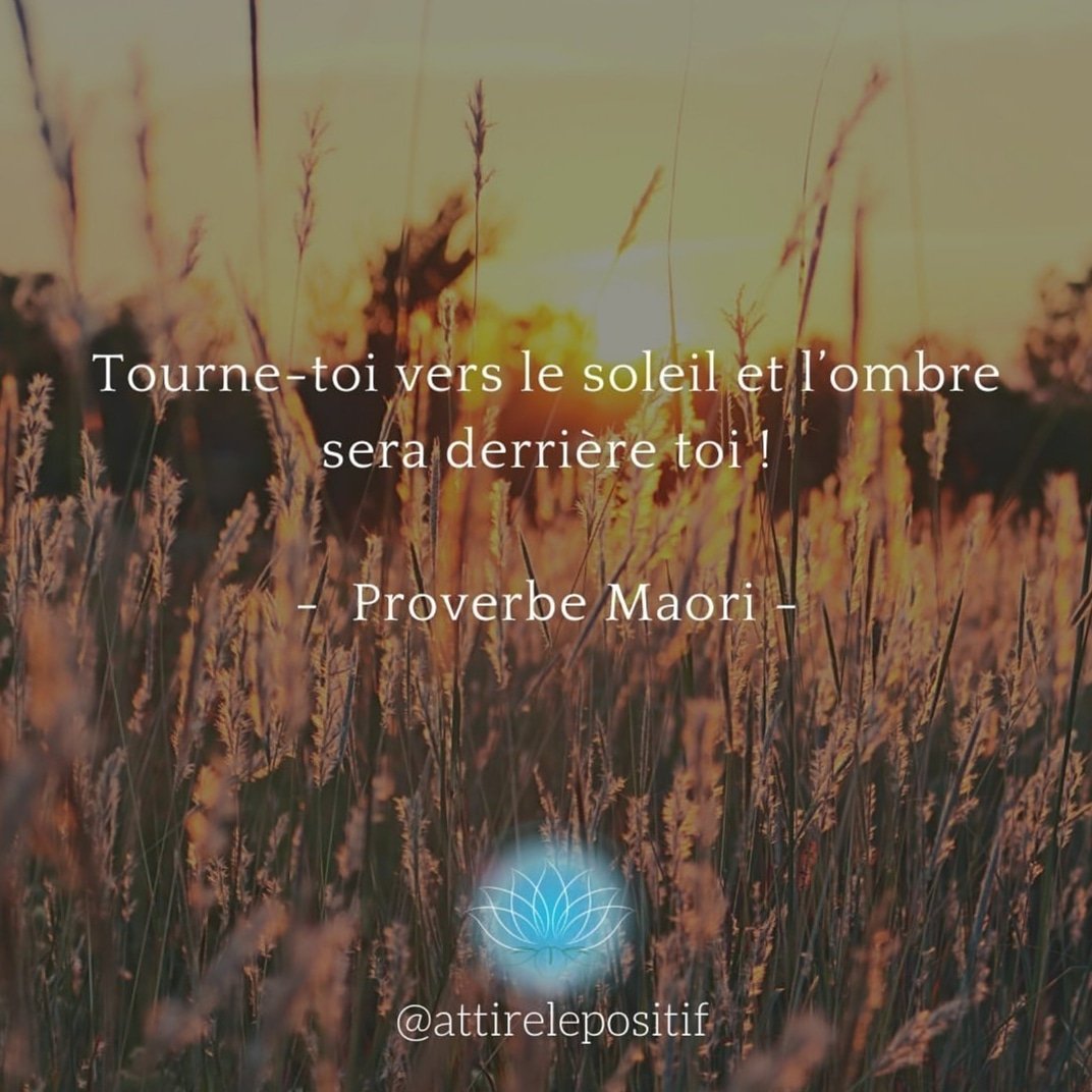 Hamel_BulleZen's tweet photo. https://t.co/4Ng3NfrpUQ