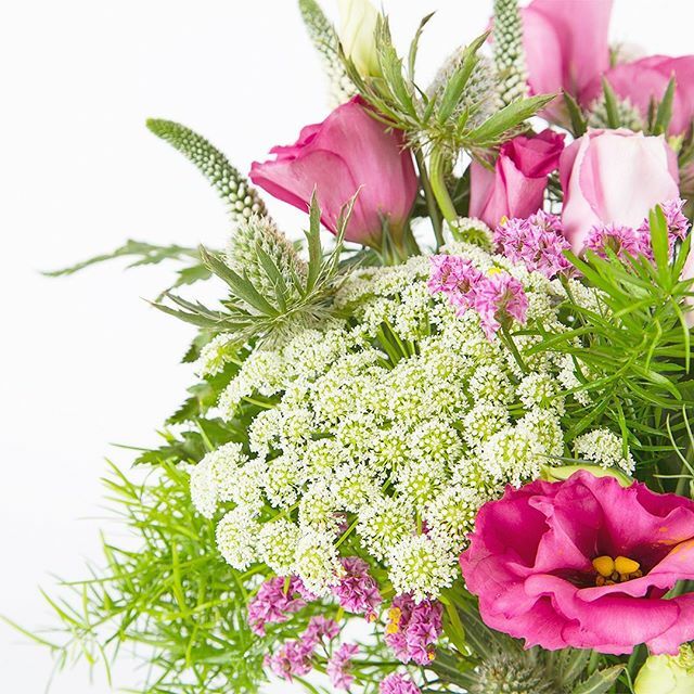 Günaydın, mutlu haftalar ve hoşgeldin bahar!  Doğanın yavaş yavaş uyanmaya, içimizin kıpırdamaya başladığı, aydınlık sabahların, bol güneşli aşkların, festival filmi seçmenin, lalenin ayı Mart, hoşgeldin! 🌱 
#BloomAndFresh 💐 ift.tt/3akLr2F