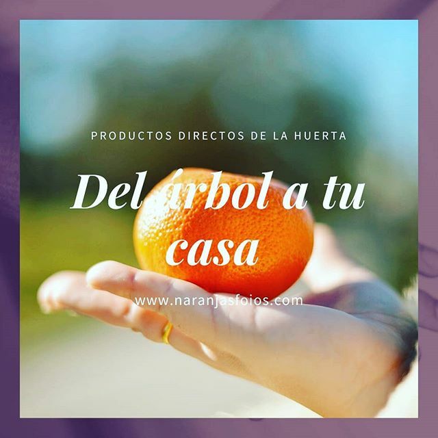 naranjasfoios's tweet photo. Somos tu #TiendaOnline de confianza y familiar💚

Cada día recolectamos y preparamos vuestros pedidos #DelArbolATucasa en 24h*

FRESCURA Y NATURALIDAD💪💚
#naranja 🍊
#mandarina
#limon 🍋
#alcachofa
#MieldeAzahar 🍯
#mermeladas
✔️https://t.co/mwHRjWwfR3 … https://t.co/FP3Iq5ntrv https://t.co/HpgJlTZ1m7