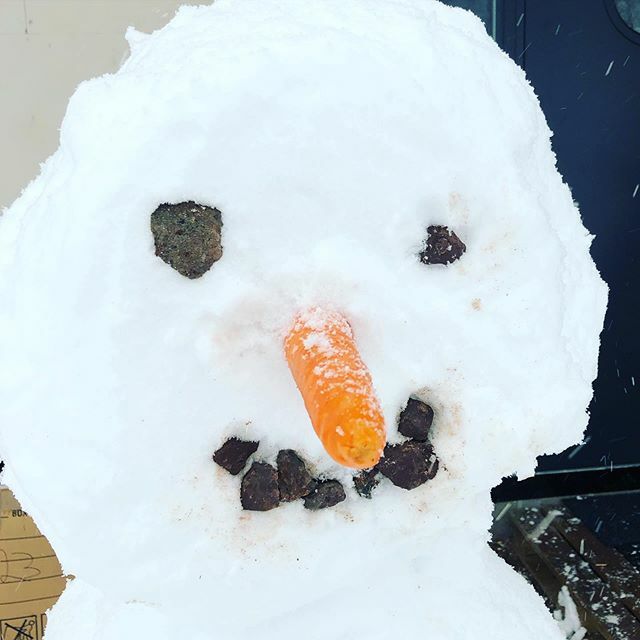 KriativeBlog's tweet photo. Snølfie 📸 https://t.co/QzkEMfFP02 https://t.co/wNihW2BuCC