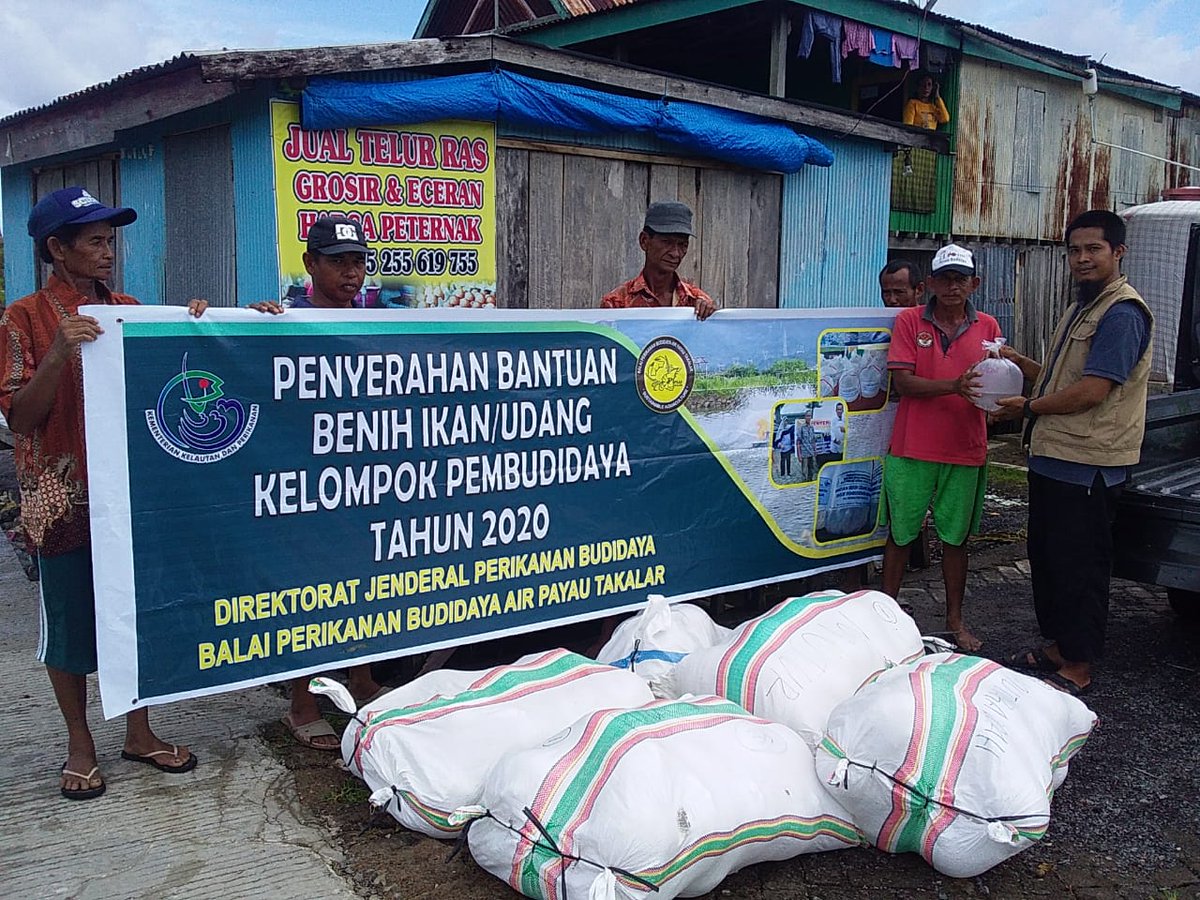 BPBAPTakalar's tweet photo. Sobat budidaya. Penyerahan bantuan benih udang windu sebanyak 200.000 ekor kepada kelompok Mutiara Indah dan 100.000 ekor kepada kelompok Mujur. Desa Minasa Upa, Kecamatan Bontoa, Kabupaten Maros.
@Edhy_Prabowo ,@s_soebjakto ,@BudidayaKKP https://t.co/BXxUwMHfS6