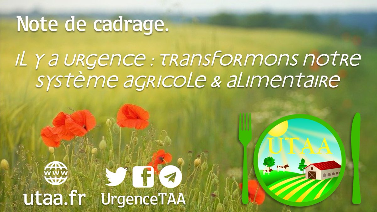UrgenceTAA's tweet photo. 🤔Pourquoi faut-il transformer notre système agricole &amp; alimentaire ?

Retrouvez des éléments de cadrage dans la première Note d'@UrgenceTAA, disponible sur notre site.

➡️https://t.co/U1OSUTG10R https://t.co/PORpoCbICi