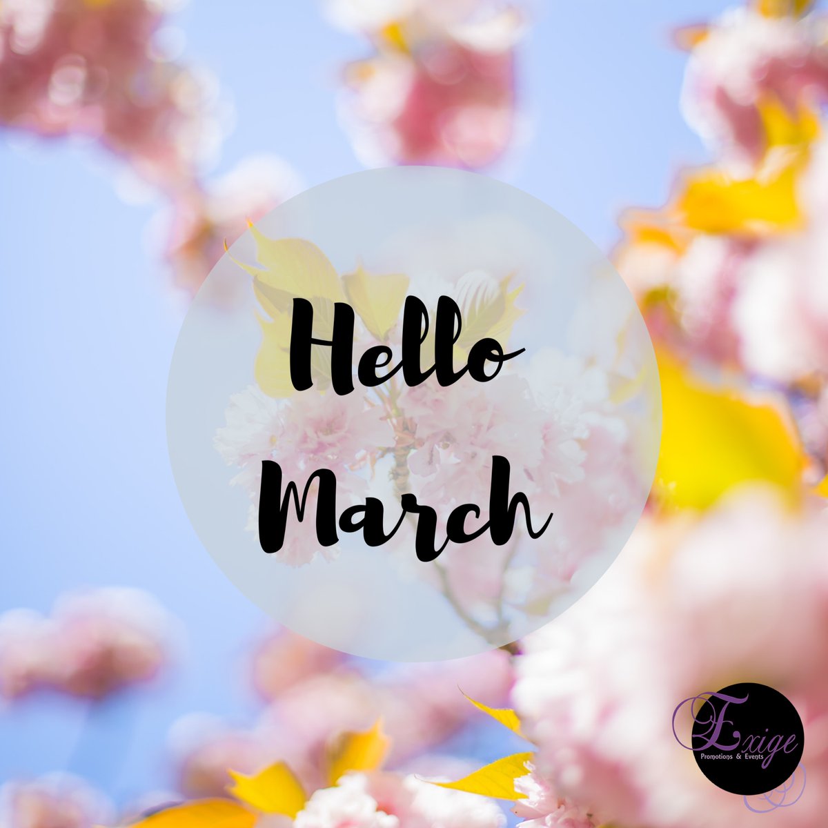 ExigePromotions's tweet photo. Well hello there March, this start of the year has been a busy one for the team at Exige Promotions but we are so happy to be going into the 3rd month of the year already which is lining up to be quite busy! ⭐️ #helloMarch #newMonth #March2020 #busybusy #hardwork #workinghard https://t.co/6R73IJNQgk