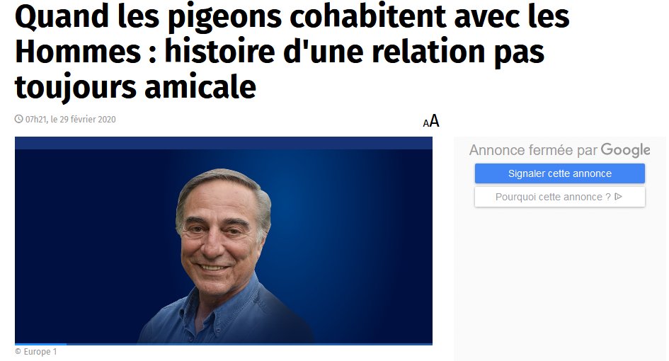 Allain Bougrain Dubourg parle de notre livre "Des pigeons dans la ville" dans sa chronique sur Europe 1
Ecoutez sa chronique eur1.fr/nADxPDA

Et pour en savoir plus, lisez notre livre #despigeonsdanslaville