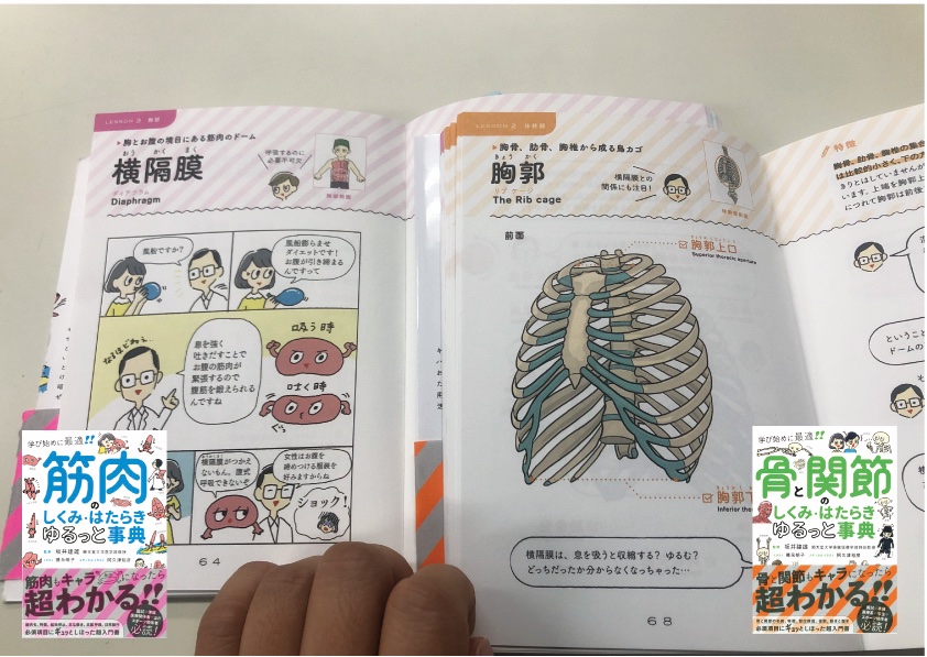永岡書店 編集部 в X: „3月新刊『#骨と関節のしくみ・はたらき
