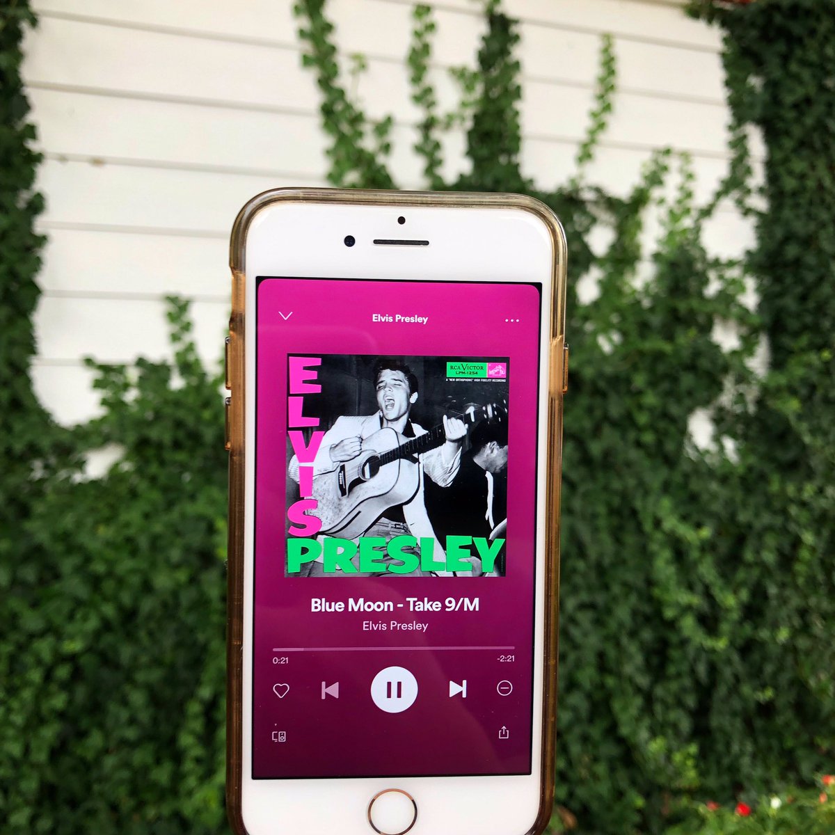 theelvishouse's tweet photo. #MusicMonday here at The Elvis House listening to Blue Moon. #theelvishouse #elvis #elvispresley #waco #tx #texas #travel #airbnb #comevisit #comeandstay #getaway #vacation #music #rocknroll #history #song #relax #unwind #monday #goodvibes #elviswashere https://t.co/3sRLyzuQdr