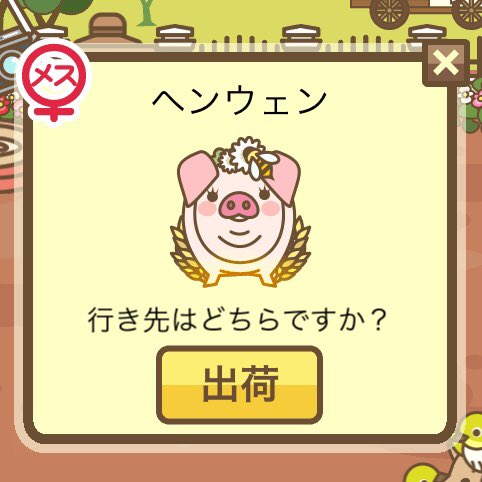 ホークママ