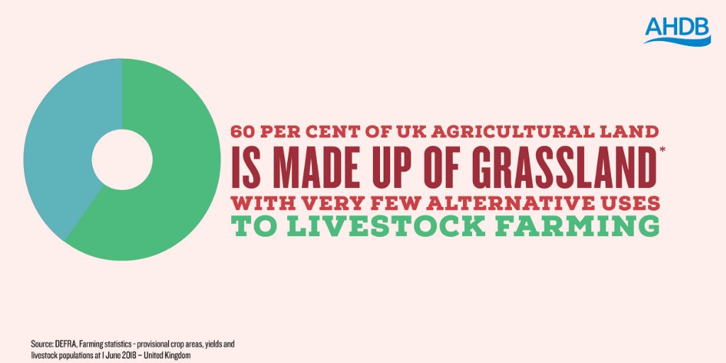 TheAHDB's tweet photo. Just over 60% of UK agricultural land is grassland, which is used to graze livestock. These grasslands capture and store carbon from the atmosphere, provide a habitat for wildlife and aid biodiversity. Get the facts here: https://t.co/ye3kRAnXw1 https://t.co/bIVzlgzJgF