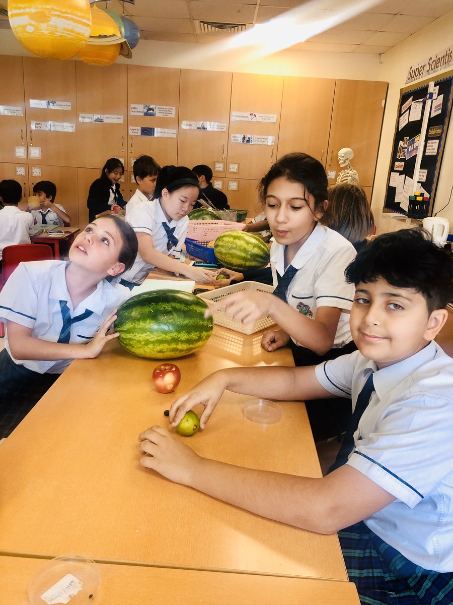 JPS_Year5's tweet photo. #JPS5F comparing the sizes of planets in our Solar System using fruit #JPSscience https://t.co/xgkN4NkLme