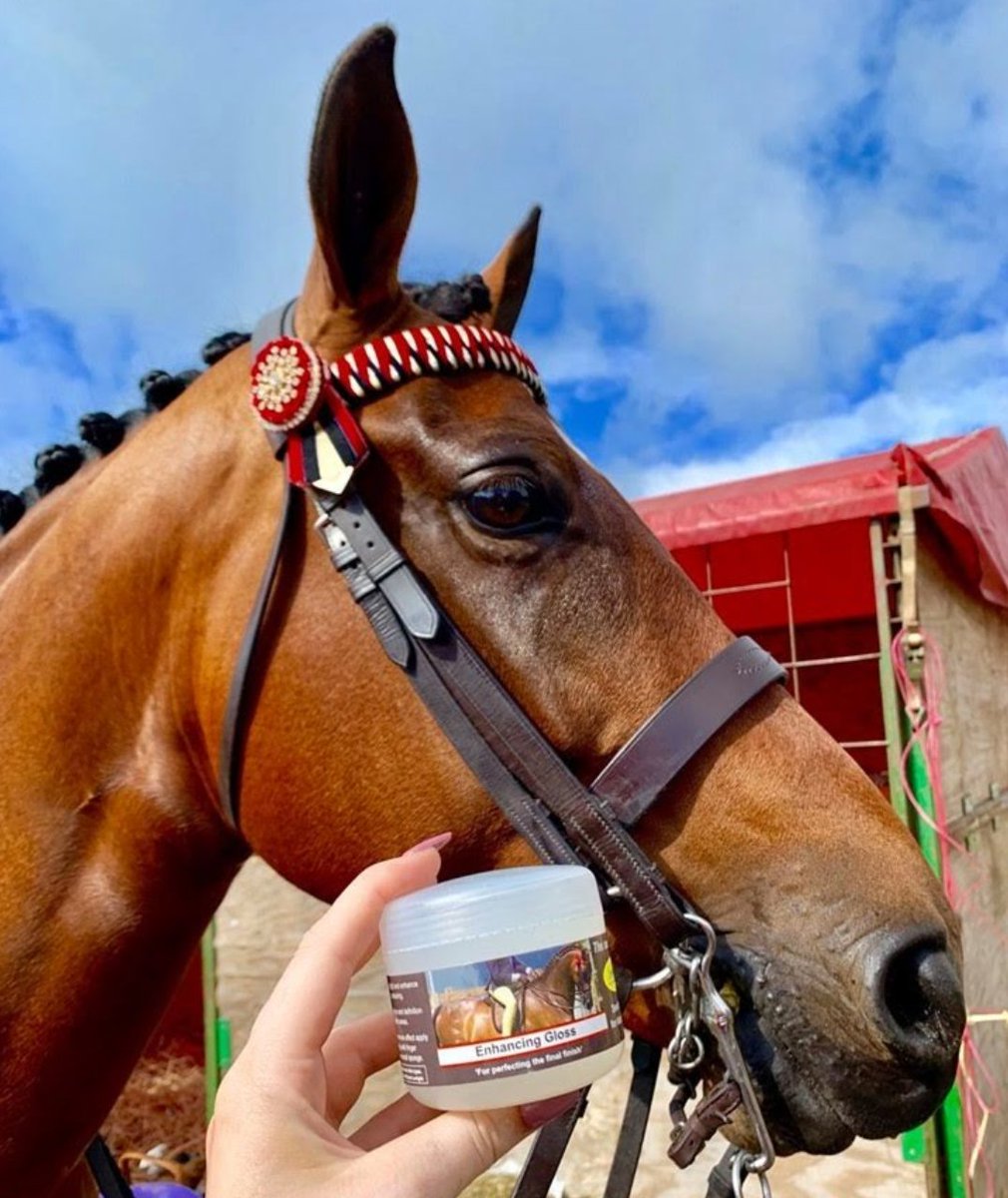 Smart_Grooming's tweet image. Looking ahead to sunshine and shiny summer show days ☀️ ✨

#smartgrooming #enhancinggloss #horsemakeu #showhorse #showpony #ridingpony #ridinghorse #equine #equi #equestrian #lovemyhorse #horselife #horseshow #horsenation #horsegroom #horseplaits #horsegrooming #proequinegroom