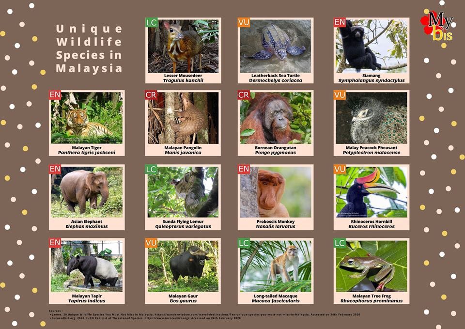 Malaysia’s Unique Flora and Fauna - Diverse Fauna of Malaysia
