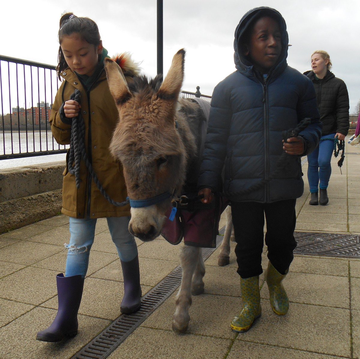 Farm Club is now bookable! Great opportunity for 8-13s to take part in animal care, gardening, nature and arts activities in the Easter holidays. surreydocksfarm.org.uk/farm-club/