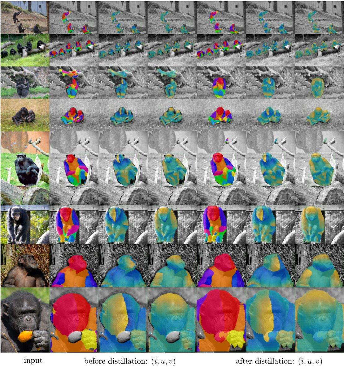 Artsiom Sanakoyeu tweet media