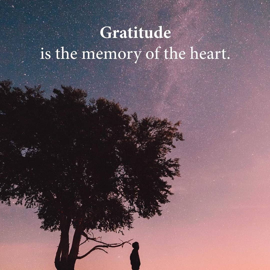 micro1p's tweet photo. Gratitude 💌 something to keep in mind.
#grow #growth #gratitude #gowiththeflow #growthmindset #meditate #mindful #bemindful #mindstate #neuroplasticity #microdose #cosmos
°
https://t.co/dFfmndjO6x https://t.co/VTNU8joGRW