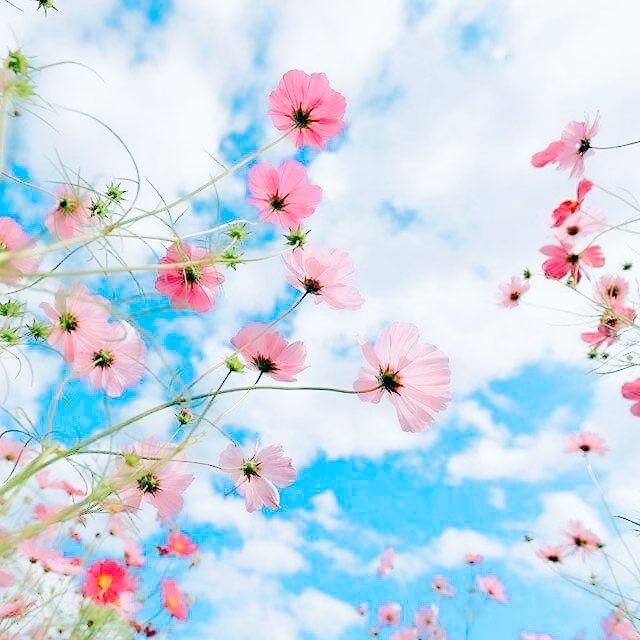 apeachywink's tweet photo. fresh like the spring breeze ☁️🌸 #nielwink https://t.co/AzmmUwWc9U