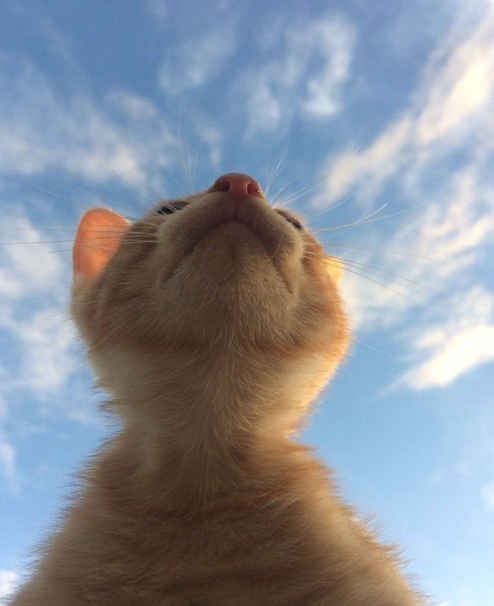 💙 #강다니엘 #KANGDANIEL