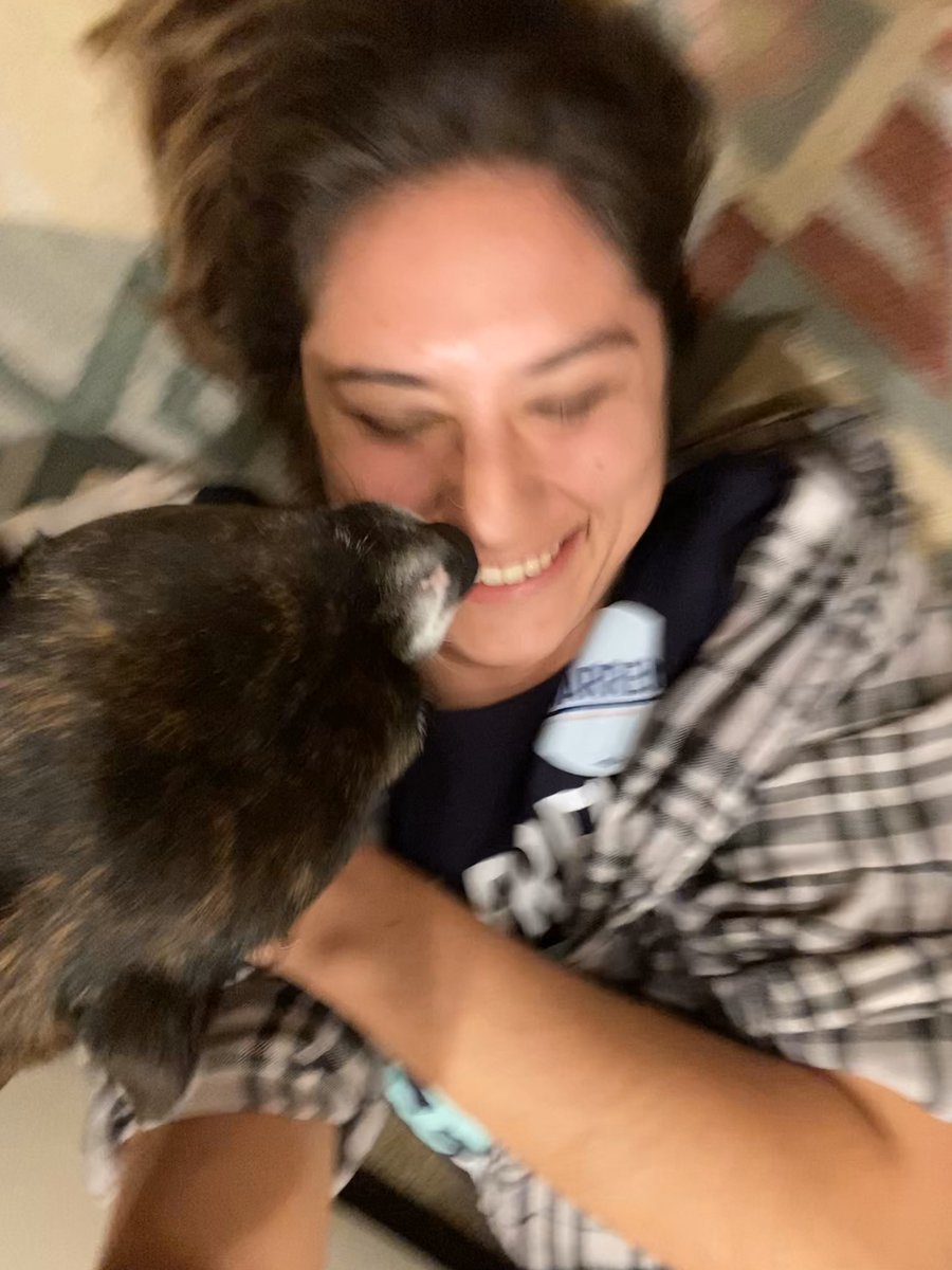 edelgadoheinz's tweet photo. When mom is tired from knocking 170 doors today but it’s big, structural playtime so
#DogsForWarren #LFG #PresidentWarren @CA_for_Warren https://t.co/SMZYhLS5tE