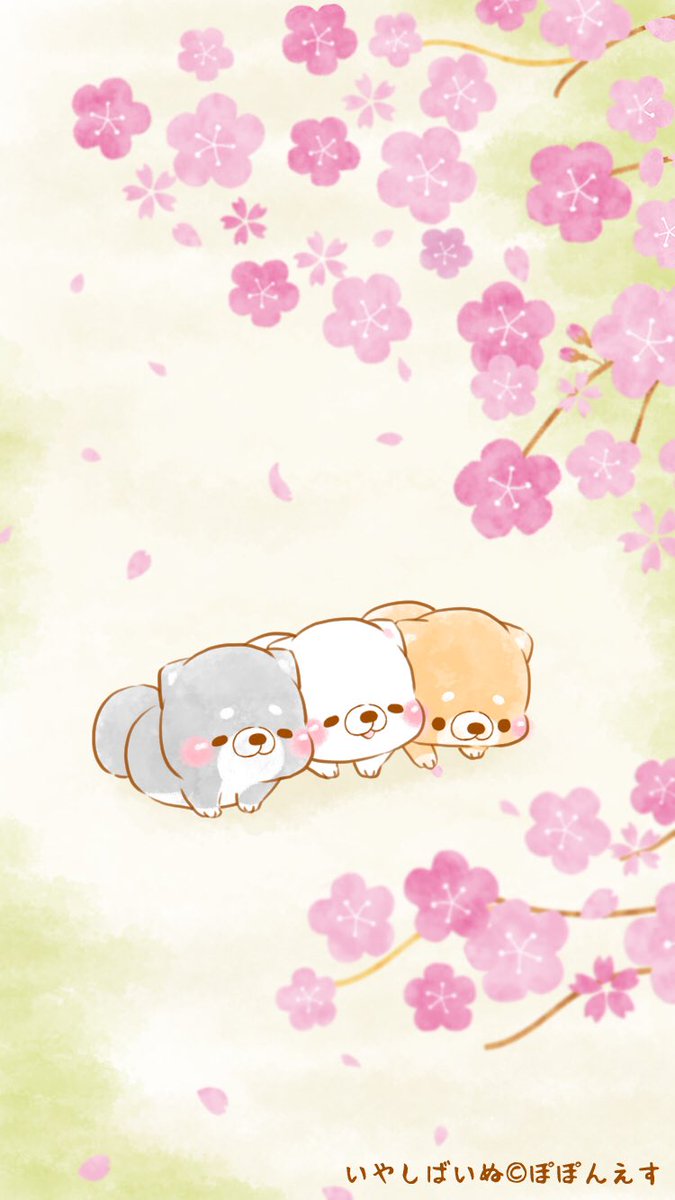 50 かわいい 柴犬 壁紙 イラスト