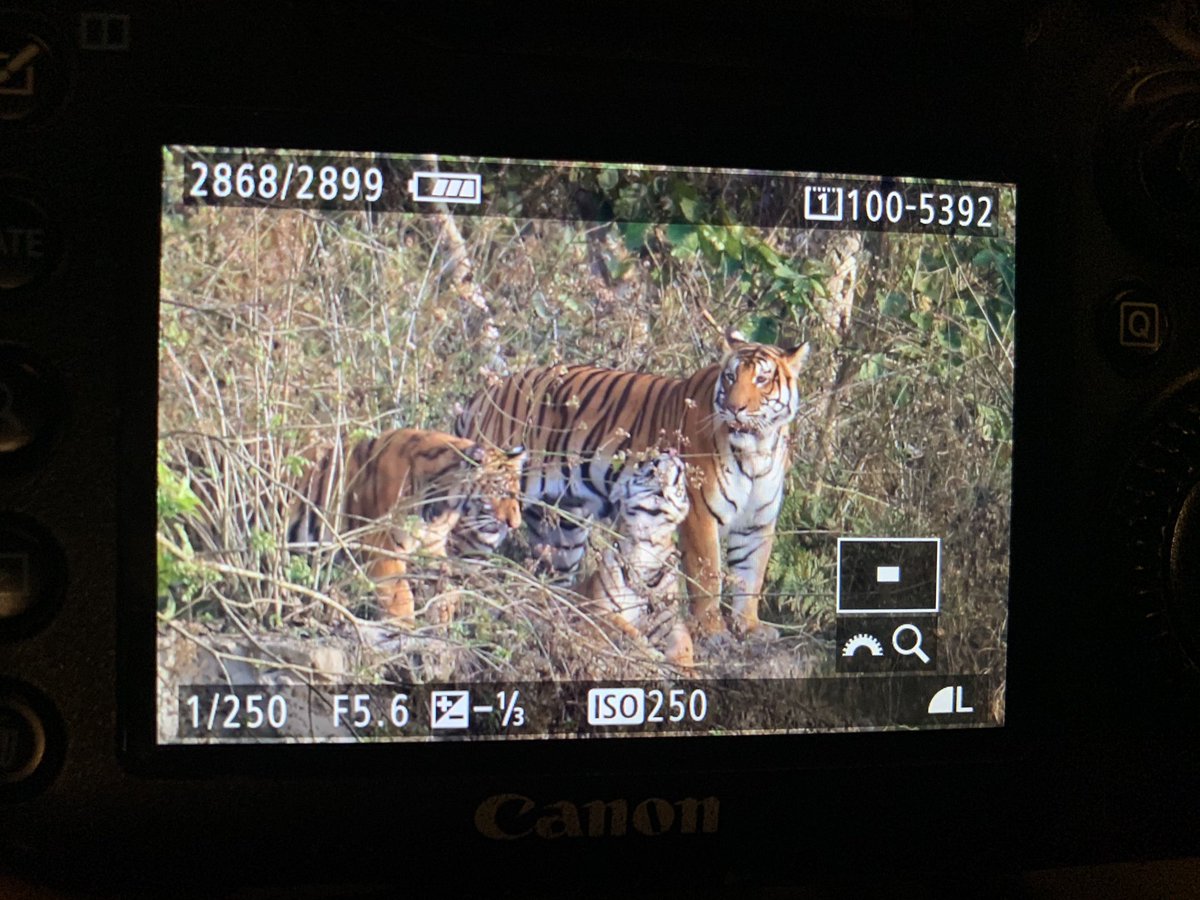 Matt Eade tweet media