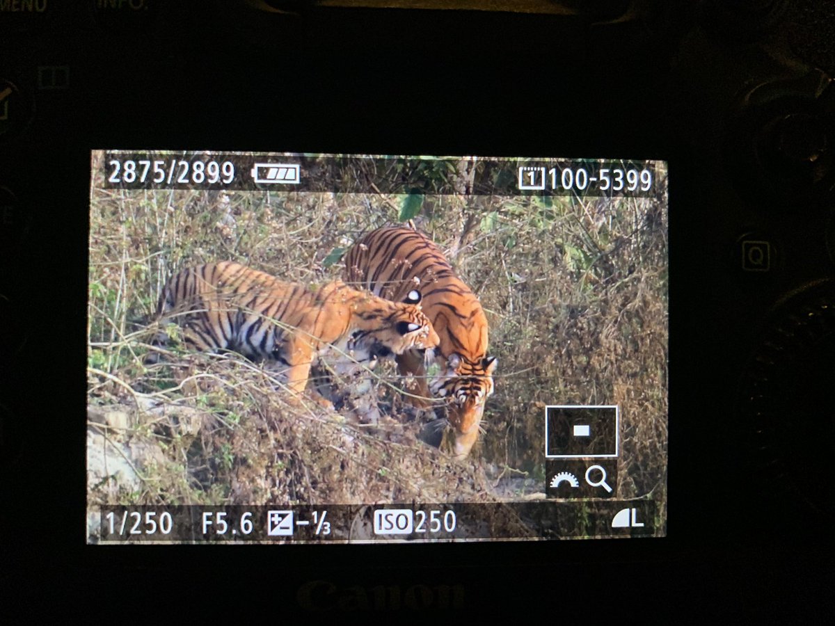 Matt Eade tweet media