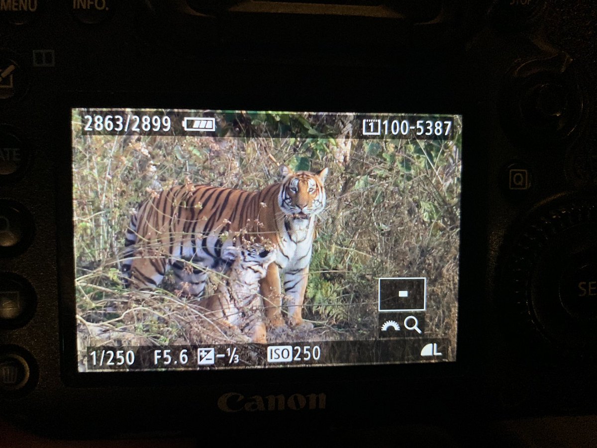 Matt Eade tweet media