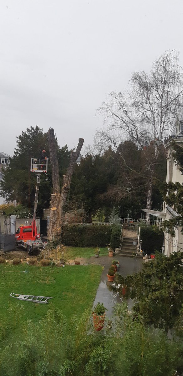68pg's tweet photo. #Mulhouse #Rebberg Disparition d'un arbre centenaire😢 #rechauffementclimatique https://t.co/C2hgbcxTkn